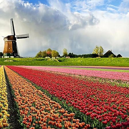 מלון Broek op Langedijk Logeren Op Dijk43 חדר תמונה